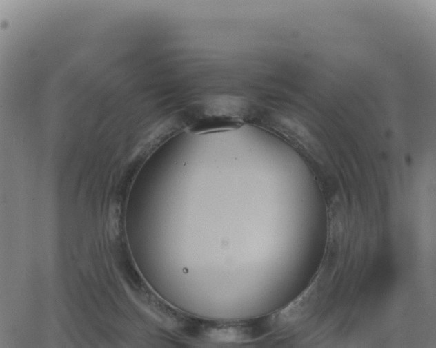 X0000062850171200601201712