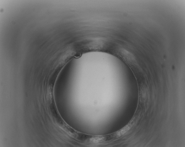 X0000062850172200601201712