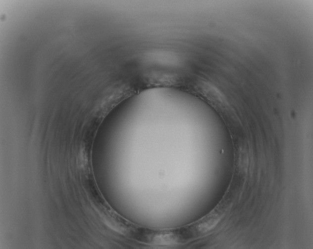 X0000062850173200601201712