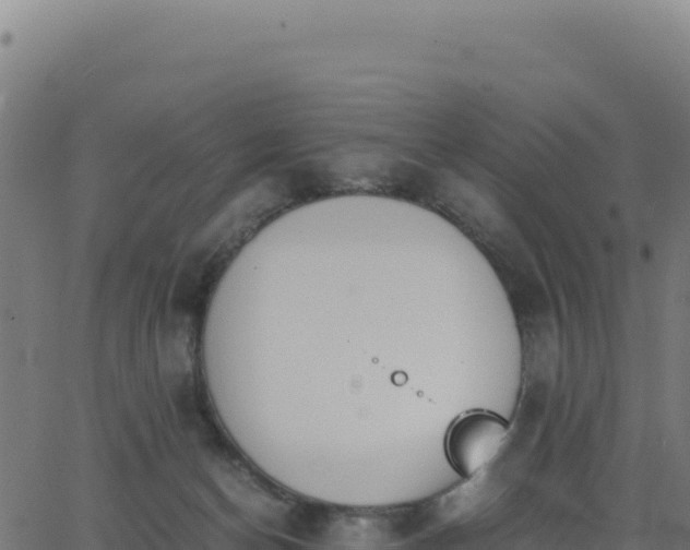 X0000062850174200601201712