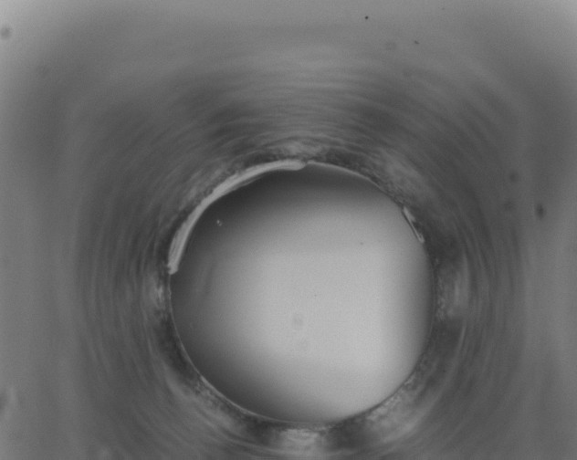 X0000062850176200601201712