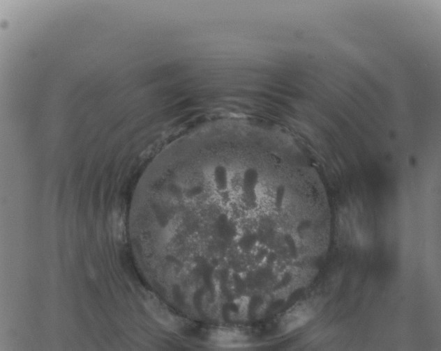 X0000062850177200601201712