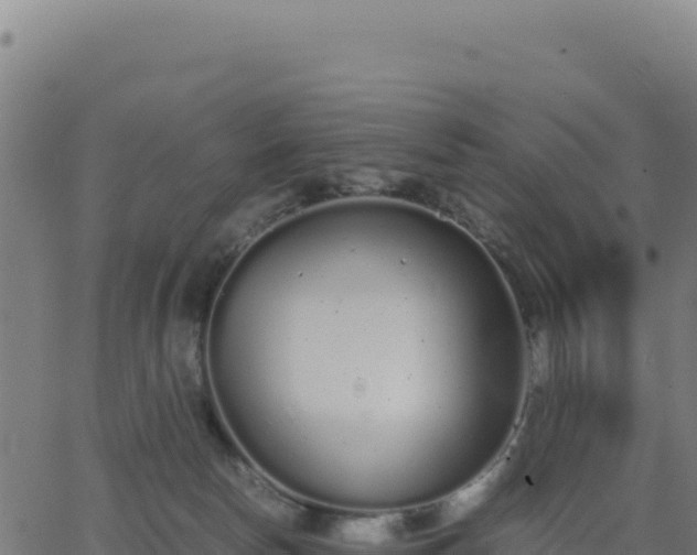 X0000062850178200601201712