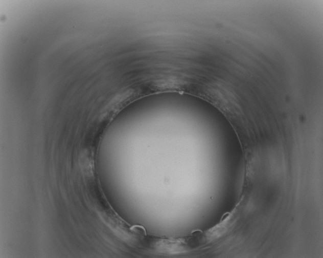 X0000062850179200601201713