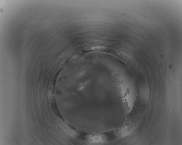 X0000062850181200601201713