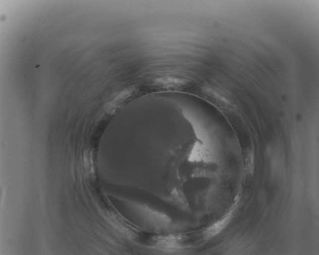 X0000062850182200601201713