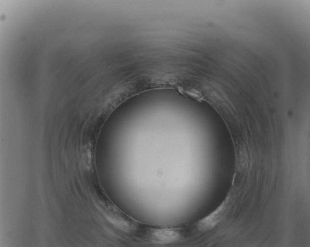 X0000062850183200601201713