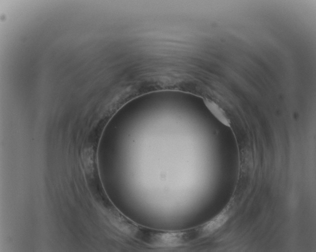 X0000062850184200601201713