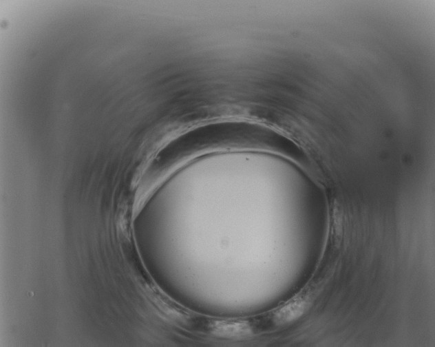 X0000062850185200601201713