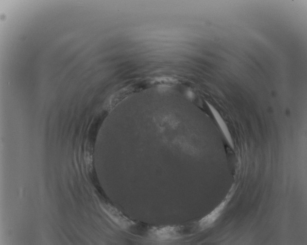 X0000062850186200601201713