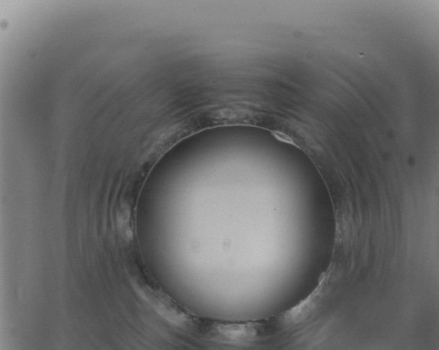 X0000062850187200601201713