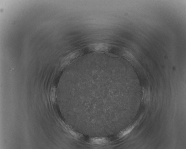 X0000062850189200601201713