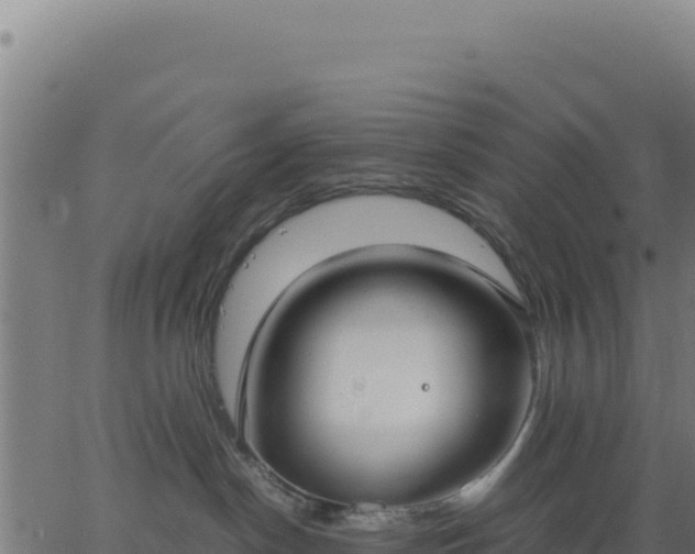 X0000062850190200601201713