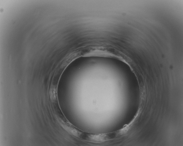 X0000062850191200601201713