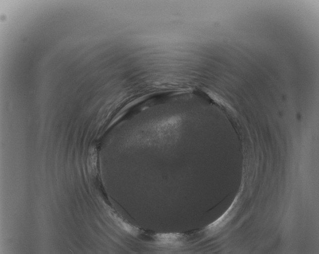 X0000062850192200601201713