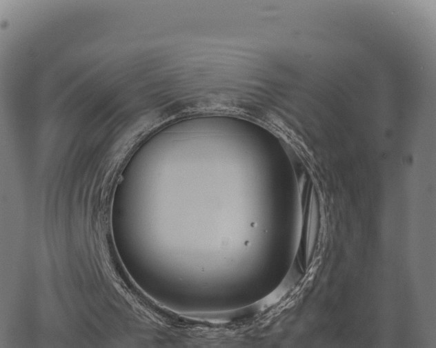 X0000062850193200601201712