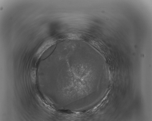 X0000062850194200601201712