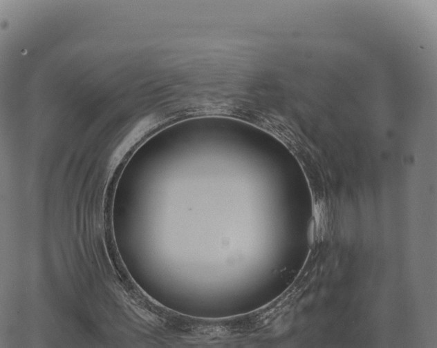 X0000062850195200601201712