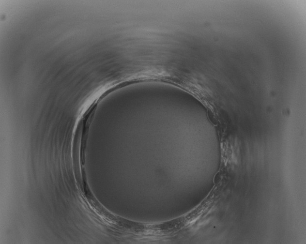 X0000062850196200601201712