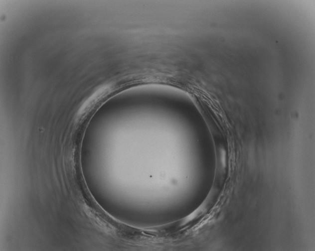 X0000062850197200601201712