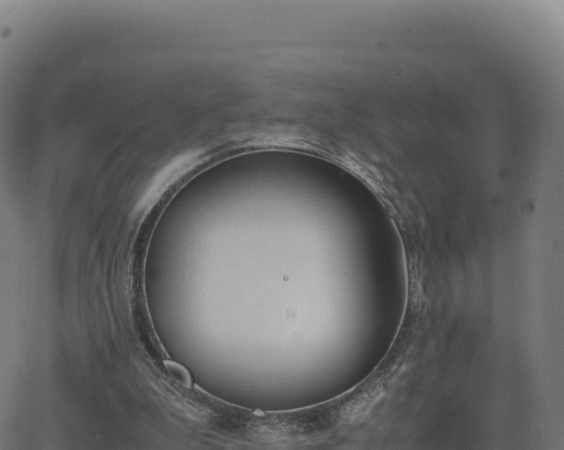 X0000062850199200601201712