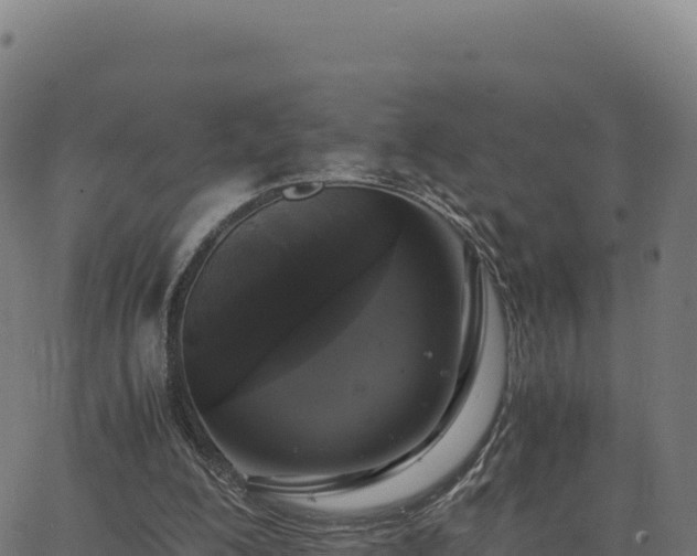 X0000062850200200601201712