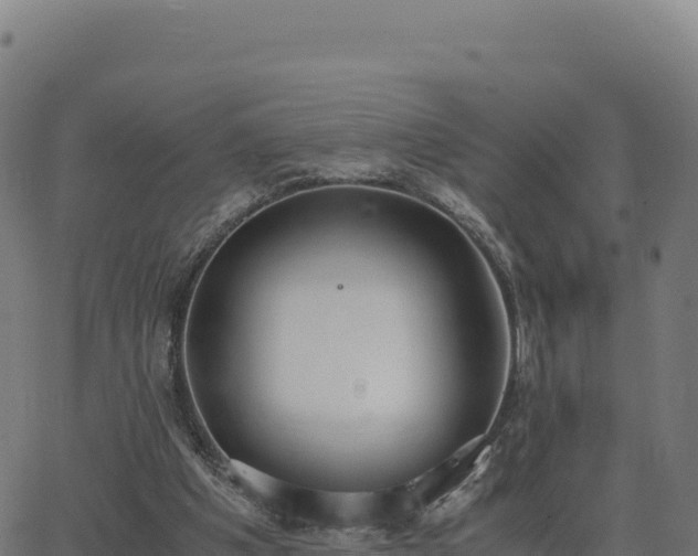 X0000062850201200601201712