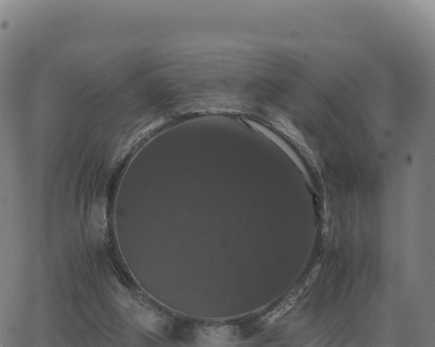 X0000062850202200601201712