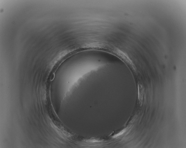 X0000062850204200601201712