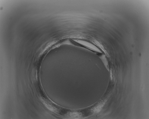 X0000062850205200601201712