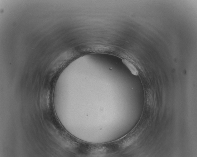 X0000062850206200601201712