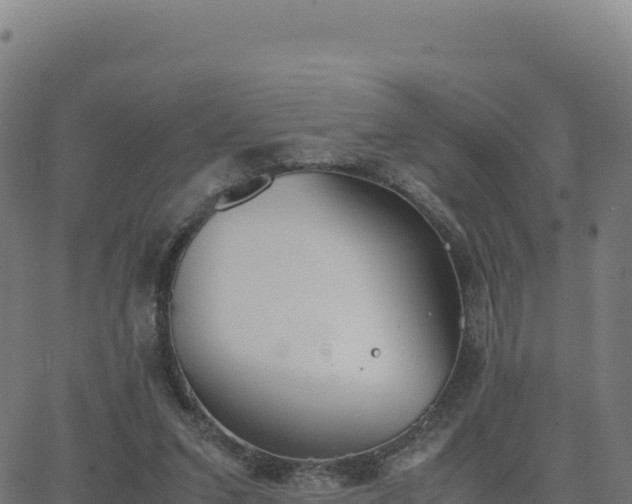 X0000062850207200601201712