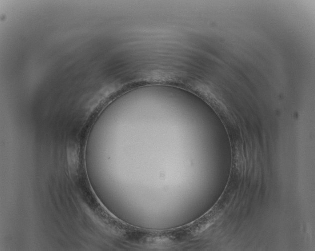 X0000062850208200601201712