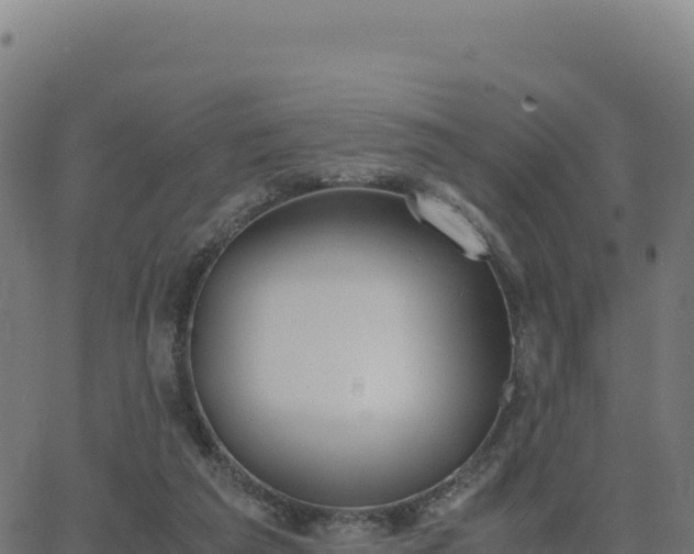 X0000062850209200601201712