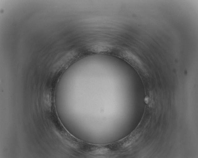 X0000062850210200601201712