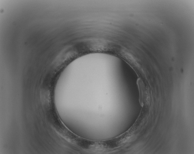 X0000062850211200601201712