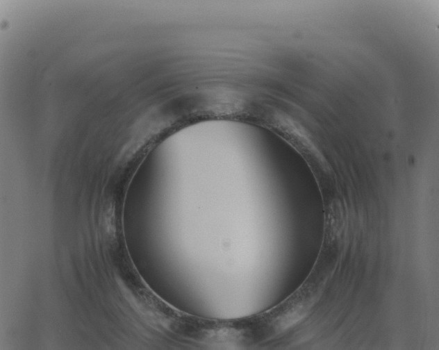 X0000062850212200601201712