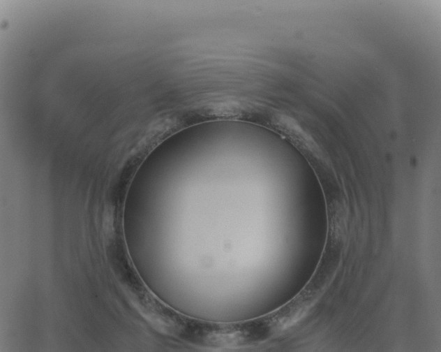 X0000062850213200601201712