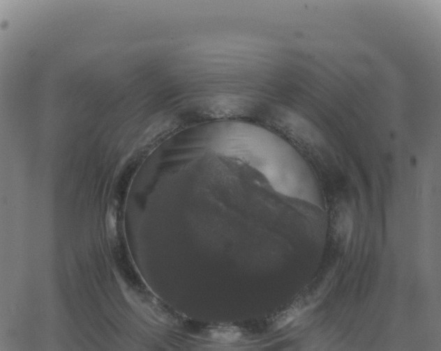 X0000062850214200601201711