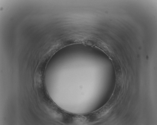 X0000062850215200601201711