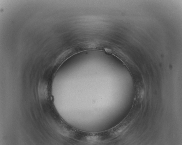 X0000062850216200601201711