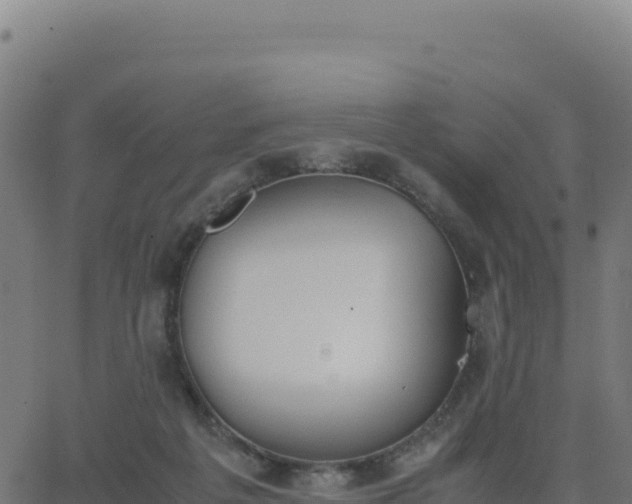 X0000062850217200601201711