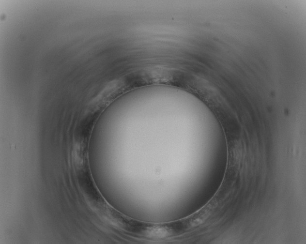 X0000062850218200601201711