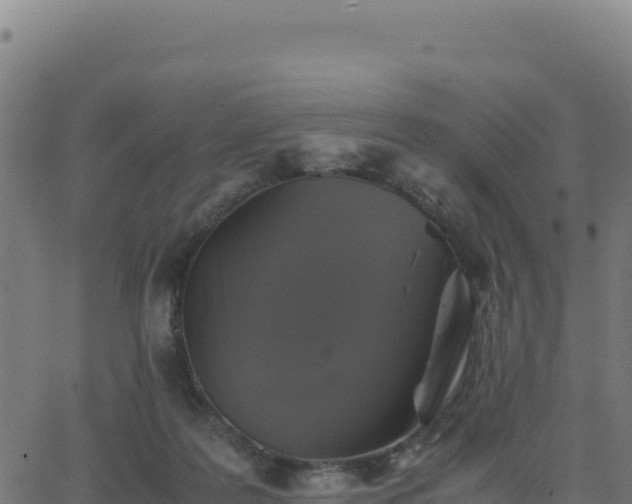 X0000062850219200601201711