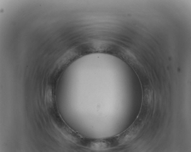 X0000062850220200601201711