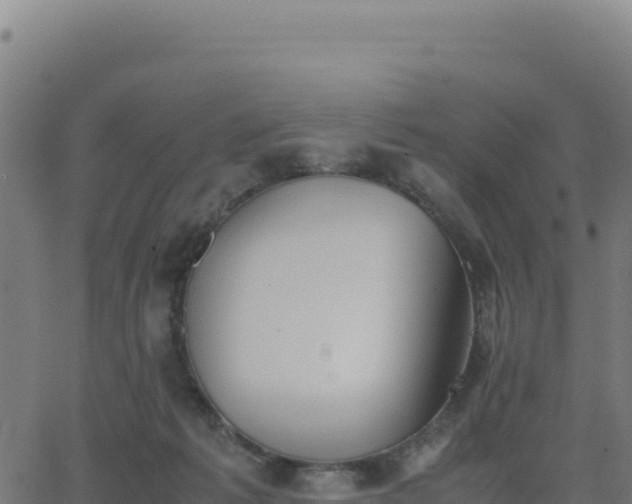 X0000062850221200601201711