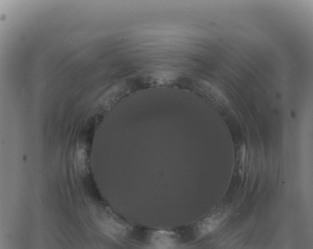 X0000062850222200601201711