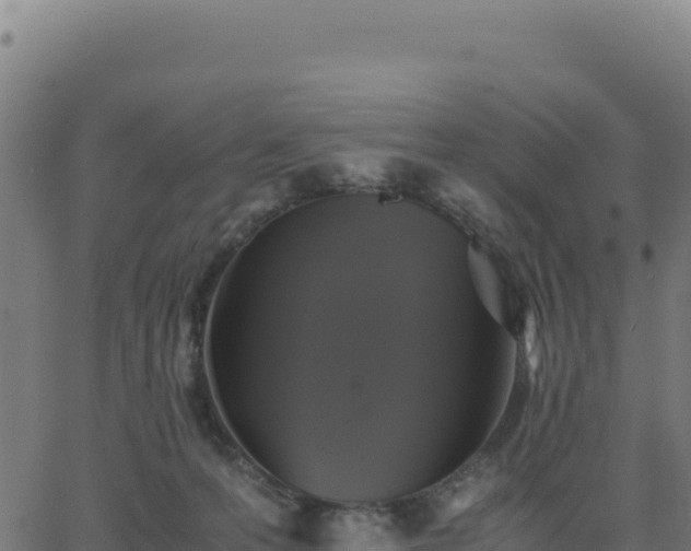 X0000062850223200601201711