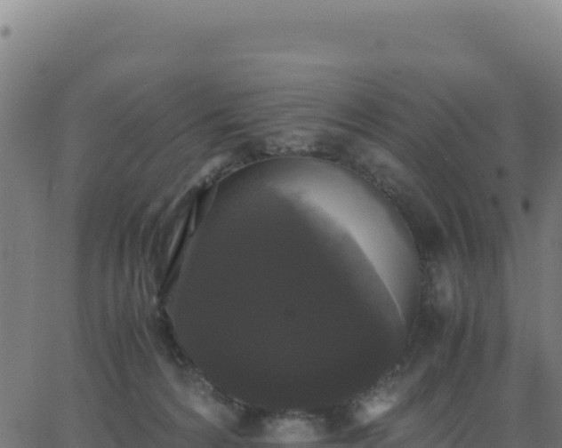 X0000062850224200601201711