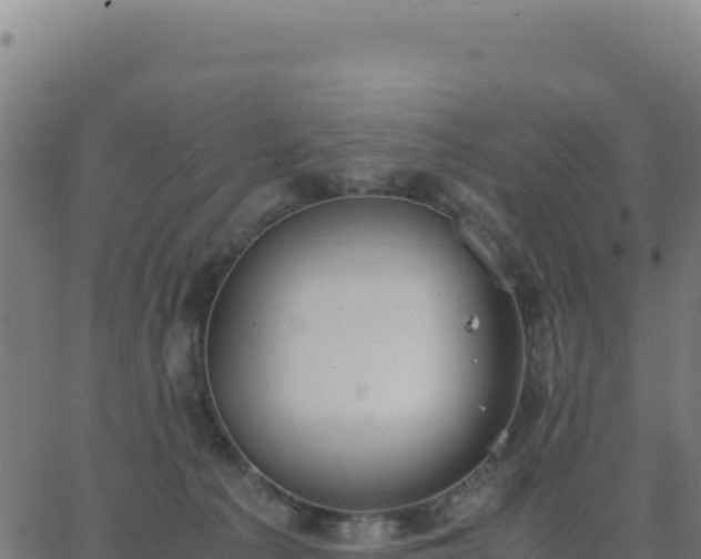 X0000062850225200601201711